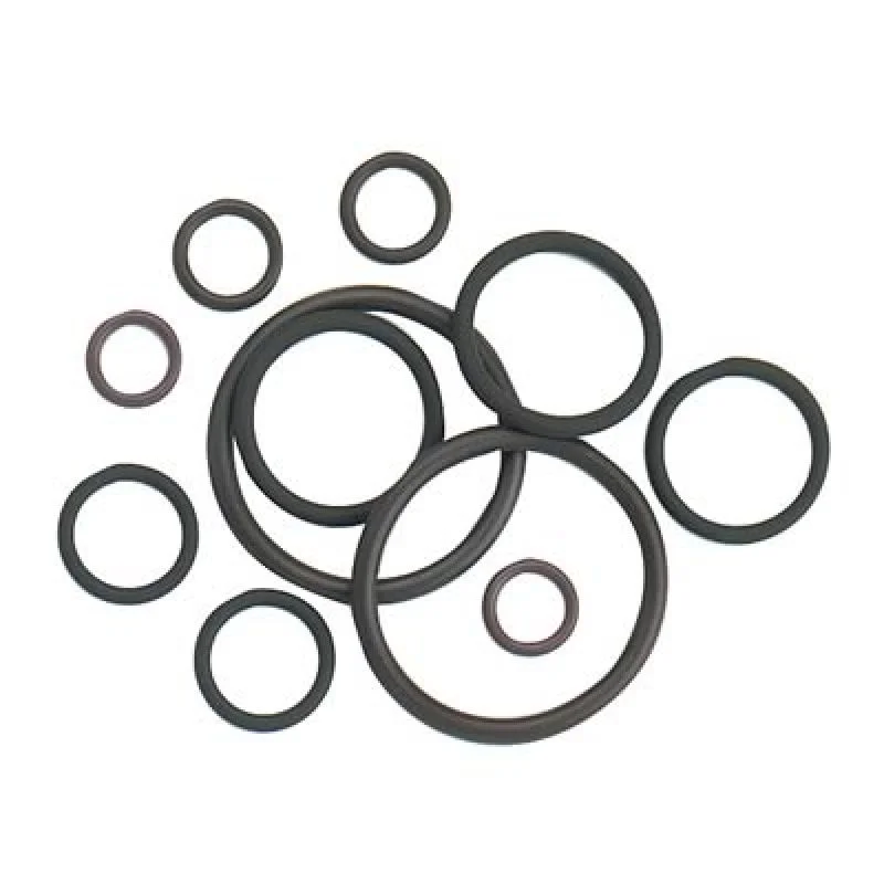 fassmotorsports123604800