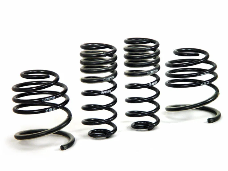 fassmotorsports84004502