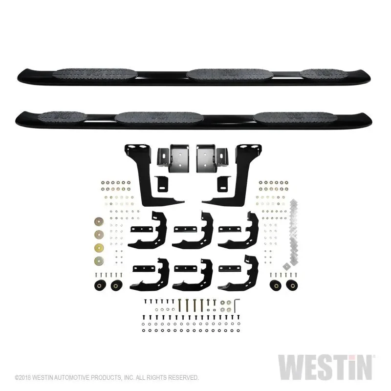 fasthemis23646267