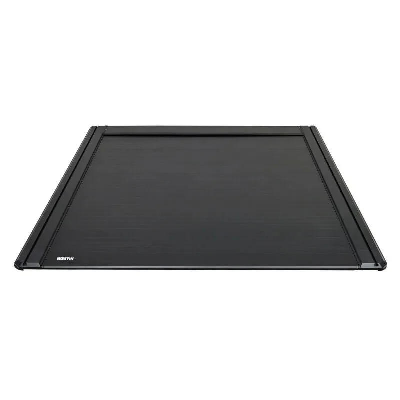 fasthemis33899395