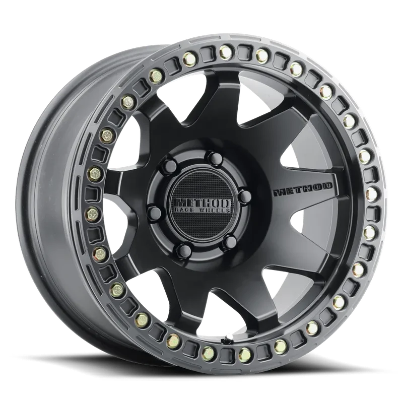 fasthemis34024921