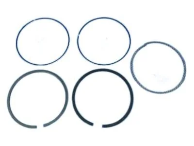 moparpartsgiant11-4394790